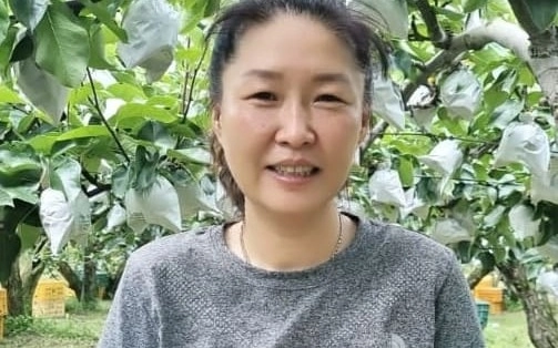 생산자