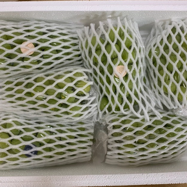 이렇게 배송해드려요